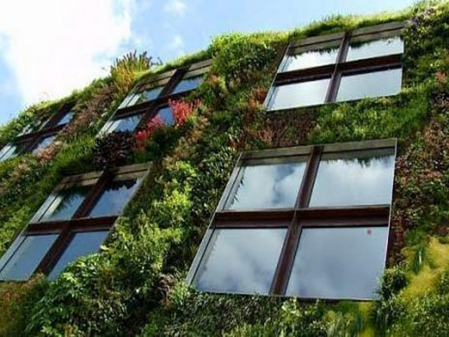 � ������ ����� ������ ������� ������������ ����������