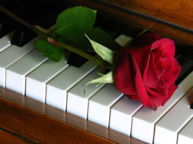 � ����� � ��� ������������� ������ ����������� �����������, ����������� ����� �������  