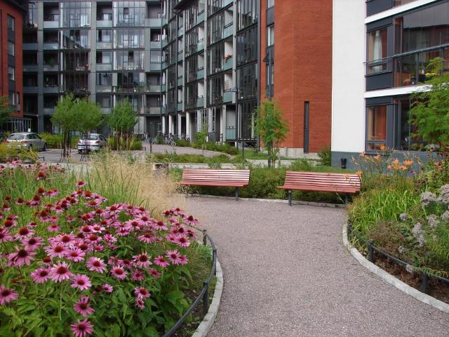 �� ���-������� ������� ������������ �������� ����������