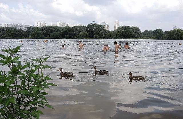 ��������� ����� ��������� �� ���������� � ������� ������