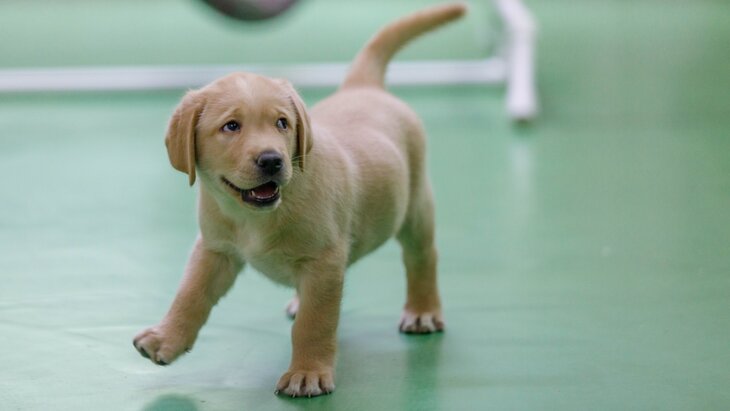 ������ "����������" ������ ����� ���������� ������ �������� �� ��� ������