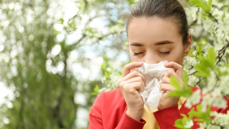 ���� ������������ ������� � ��������� "��������" ��������