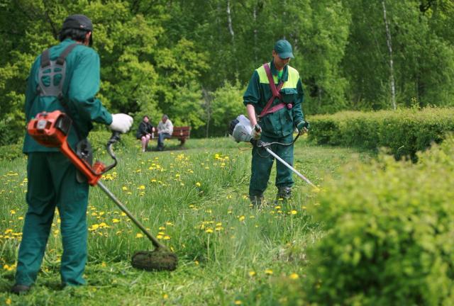 ������� ������ ������� � ���� ���� ��������� ��������� ��������