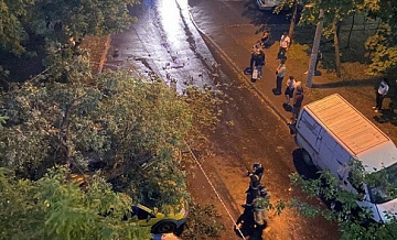 Дерево упало на четыре автомобиля у метро Кузьминки
