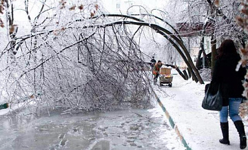 Работники ГБУ «Жилищник района Левобережный» в экстренном порядке убирают деревья, поваленные ночным ледяным дождём