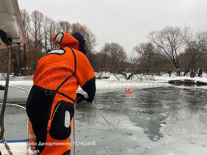 Спасатели пришли на помощь собаке, провалившейся под лёд на Шибаевском пруду