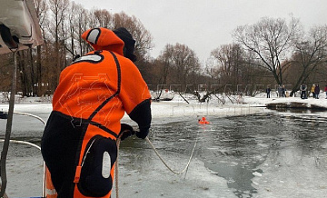 Спасатели пришли на помощь собаке, провалившейся под лёд на Шибаевском пруду