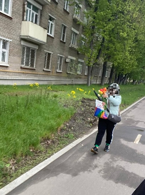 Воришки продолжают срывать тюльпаны с городских клумб