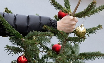 Больше всего новогодних ёлок на утилизацию сдали в «Кузьминках-Люблино»