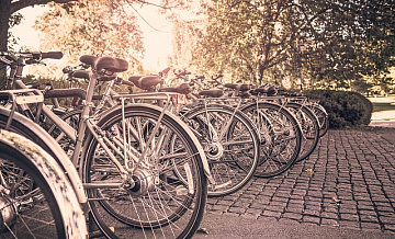 В парке «Кузьминки-Люблино» начался сезон бесплатных велоэкскурсий